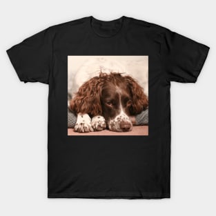 English springer spaniel T-Shirt